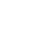 tigre