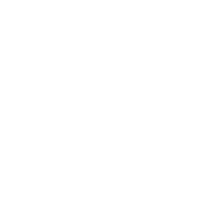 tigre